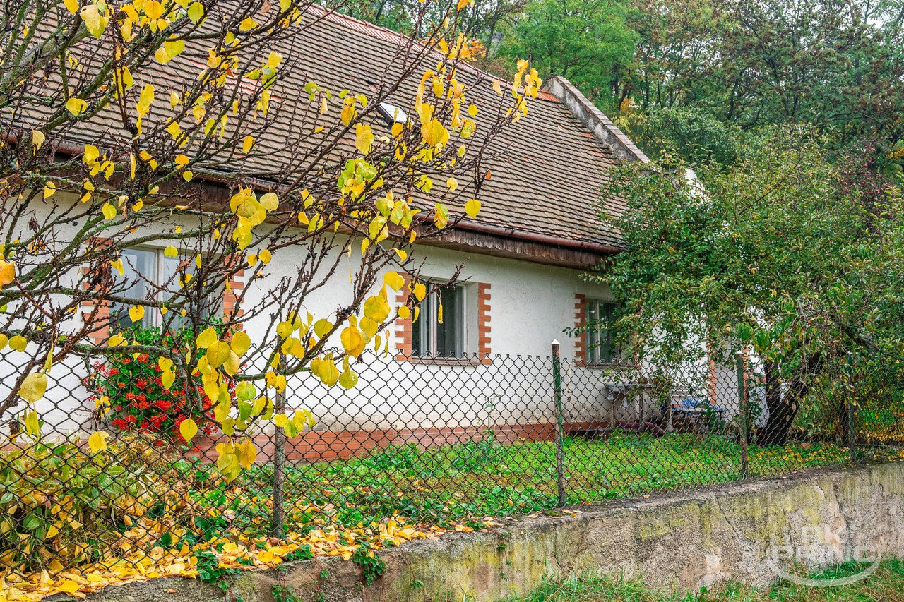 tn_zoom_filename_28782 tn_zoom_filename_28782