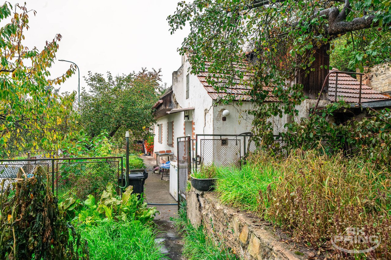 tn_zoom_filename_28778 tn_zoom_filename_28778